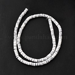 Dyed Synthetic Turquoise Beads Strands&nbsp;G-Z089-A04-B