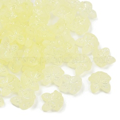 Frosted Transparent Acrylic Beads&nbsp;X1-OACR-P029-18B-03