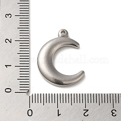 Non-Tarnish 304 Stainless Steel Pendants&nbsp;STAS-R223-18