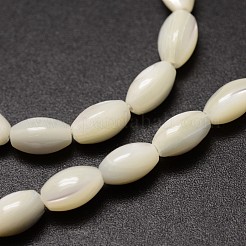 Natural Trochid Shell/Trochus Shell Beads Strands&nbsp;X-SSHEL-K008-06