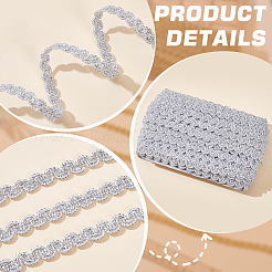 Polyester Braided Lace Trim Ribbon for Curtain Sofa Decoration&nbsp;OCOR-WH0105-013B-02
