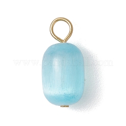 10Pcs 10 Colors Dyed Natural Selenite Column Pendants&nbsp;PALLOY-JF03123