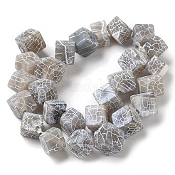 Natural Weathered Agate Beads Strands&nbsp;G-Q169-C04-01A