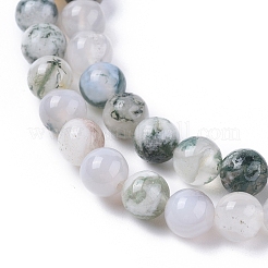 Natural Tree Agate Beads Strands&nbsp;G-L533-22