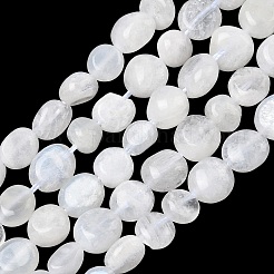 Natural Rainbow Moonstone Beads Strands&nbsp;X-G-Q961-27