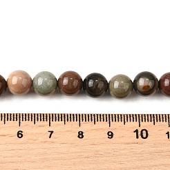 Natural Picture Jasper Beads Strands&nbsp;G-S390-07-8mm