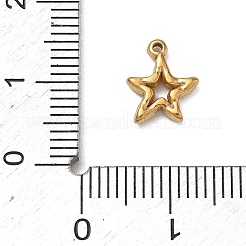 304 Stainless Steel Charms&nbsp;LS-SA-B007-02G-C