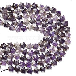 Natural Amethyst Beads Strands&nbsp;G-L657-A08-01