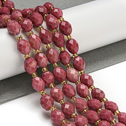 Natural Rhodonite Beads Strands&nbsp;G-N342-38