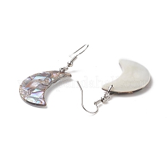 Abalone Shell/Paua Shell Dangle Earrings&nbsp;EJEW-F147-C15