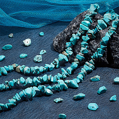4 Strands Natural Dyed Howlite Chip Beads Strands&nbsp;G-AR0005-52