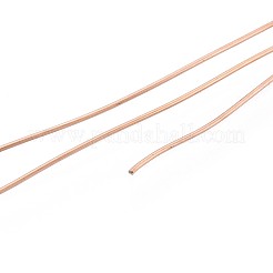10M 304 Stainless Steel Wire&nbsp;TWIR-N005-0.5mm-RG