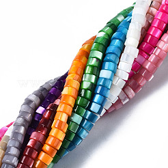 Natural Trochus Shell Beads Strands&nbsp;SHEL-S278-027