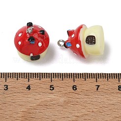 Opaque Resin Pendants&nbsp;RE-G001-02