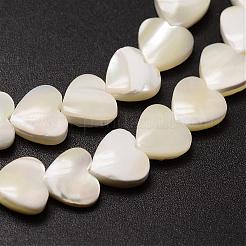 Natural Trochid Shell/Trochus Shell Beads Strands&nbsp;SSHEL-K012-04