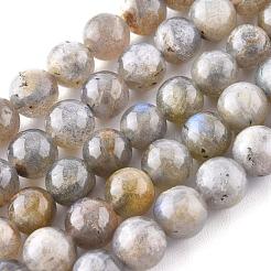 Natural Labradorite Beads Strands&nbsp;X-G-G212-8mm-23