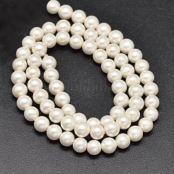 Round Shell Pearl Matte Surface Bead Strands&nbsp;X-BSHE-M011-08-6mm