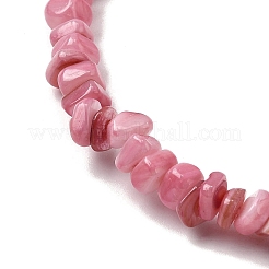 Natural Freshwater Shell Beads&nbsp;SHEL-B003-01K