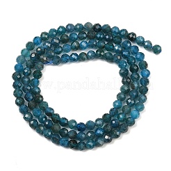 Natural Apatite Beads Strands&nbsp;X-G-E411-36-3mm-02