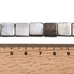 Natural Black Lip Shell Beads Strands&nbsp;SHEL-A006-09A