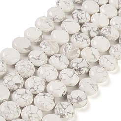 Natural Howlite Beads Strands&nbsp;G-M403-C07