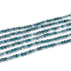 Natural Apatite Beads Strands&nbsp;G-K185-02