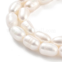 Natural Cultured Freshwater Pearl Beads Strands&nbsp;PEAR-P062-06E