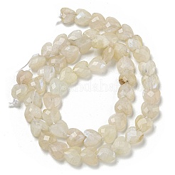 Natural Rainbow Moonstone Beads Strands&nbsp;G-P544-E06-01