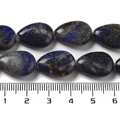 Natural Sodalite Beads Strands&nbsp;G-P528-L02-01