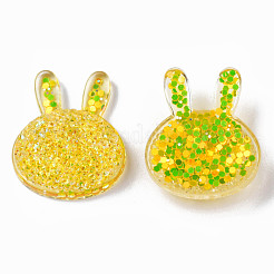 Transparent Resin Cabochons&nbsp;CRES-N034-17B