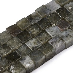 Natural Labradorite Beads Strands&nbsp;G-T139-8x8-19A