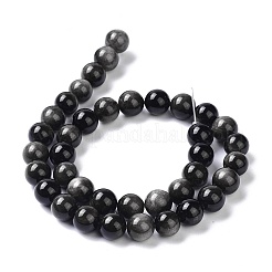 Natural Silver Obsidian Beads Strands&nbsp;X-G-D083-01C