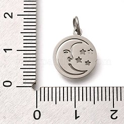 304 Stainless Steel Charms&nbsp;STAS-Z119-20P