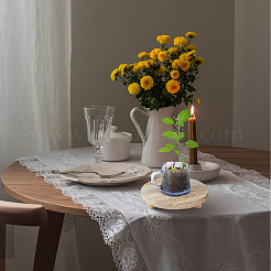 3Pcs Wooden Round Display Base for Bathroom&nbsp;AJEW-FH0006-62