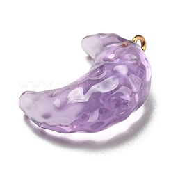 Transparent Resin Moon Pendants&nbsp;RESI-A026-01B