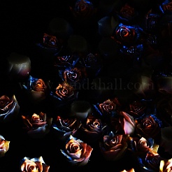 Luminous Opaque Resin Cabochons&nbsp;CRES-R458-14A-01