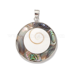 Natural Abalone Shell/Paua Shell Pendants&nbsp;BSHE-E029-02P