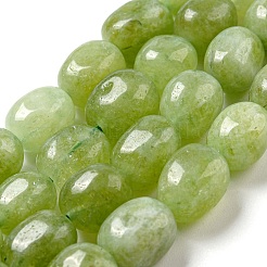 Natural Malaysia Jade Beads Strands&nbsp;G-P528-N01-01