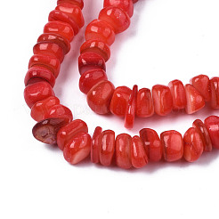 Natural Trochid Shell/Trochus Shell Beads Strands&nbsp;SHEL-S258-081-B06