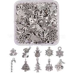 100 Pcs 10 Styles Tibetan Style Alloy Pendants&nbsp;TIBE-SZ0001-01AS