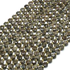 Natural Labradorite Beads Strands&nbsp;G-C116-A50-02