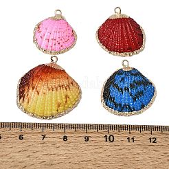 Brass & Spray Painted Natural Shell Pendants&nbsp;SH-CBA27C9-11