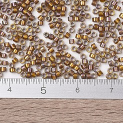 MIYUKI Delica Beads&nbsp;SEED-JP0008-DB1691