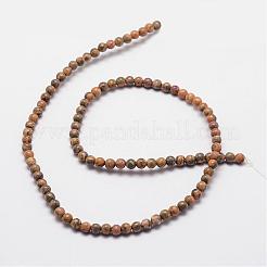 Natural Leopard Skin Jasper Beads Strands&nbsp;G-N0181-02-4mm