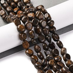 Natural Bronzite Beads Strands&nbsp;G-G146-A18-01