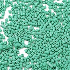 Baking Paint Glass Seed Beads&nbsp;X-SEED-S042-05B-60