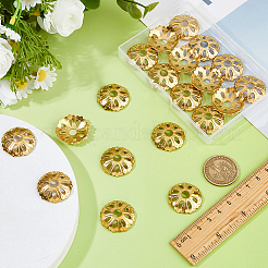 20Pcs Brass Bead Caps&nbsp;FIND-FH0012-06G