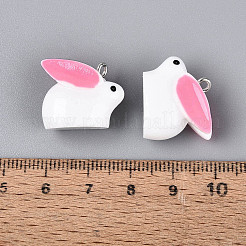 Spray Painted Opaque Resin Pendants&nbsp;RESI-TAC0030-01A