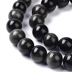 Natural Silver Obsidian Beads Strands&nbsp;X-G-D083-01C