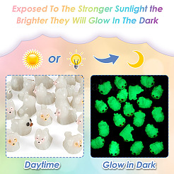 20Pcs Halloween Luminous Opaque Resin Ghost Display Decoration&nbsp;DJEW-TA0001-33